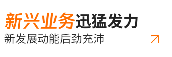 小標題03-新興業(yè)務.png